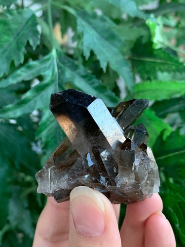 Grade A++ Smoky Quartz Cluster, 1.5-4 Inch Smoky Quartz Crystals, Pick A Size - Picture 2 of 12