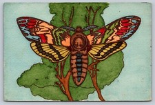 Colorful Italian Butterfly Illustration Postcard - Edizioni Cartoccino Monza