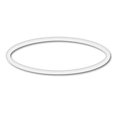 TTSpare Part: SunSun CPP-10000F Poolpump O-Ring 1
