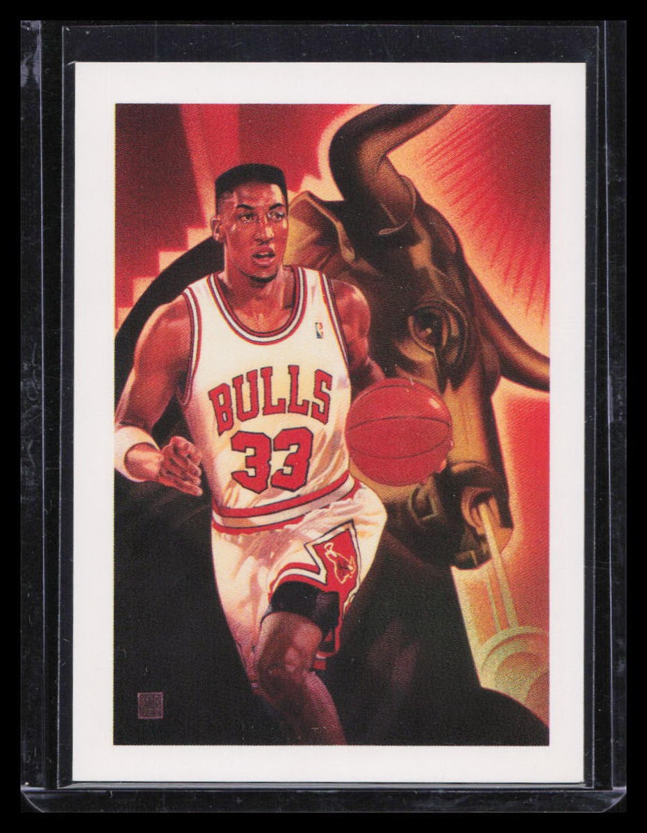 1991 NBA Hoops Scottie Pippen #506 TC | eBay