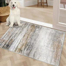 Door Mat Soft Absorbent Indoor Front Entryway Rug Machine Washable Entrance Mats