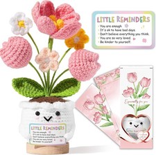Emotional Support Crochet Positive Tulip Little Reminders You Are Enough