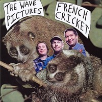 Wave Pictures - French Cricket - Vinyl Record Vl - E3447Z
