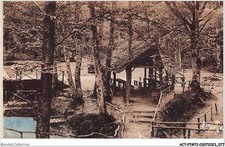 ACTP7-72-0636 - CRADLE - the cradle forest - sources of the hermitage - sa