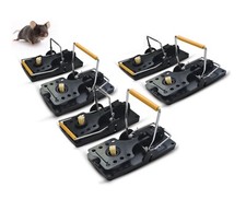 6 Pack Rat Traps Indoor Kill