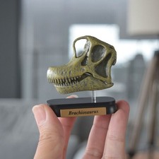 Dinosaur Brachiosaurus Skull Mini Figure Mini Model Favorite New