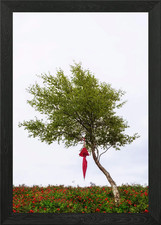 red umbrella hanging from a tree Framed Wall Art Poster Canvas Print Picture