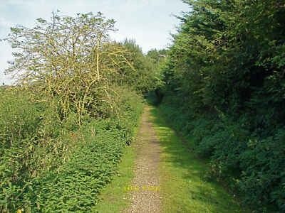 Photo 6x4 Footpath beside the sewage works Broadford The footpath off Tru c2014