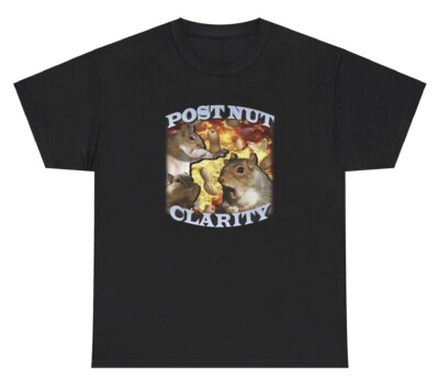 Post Nut Clarity Squirrel Pun T Shirt Ironic Humor Gen Z Funny Graphic Tee