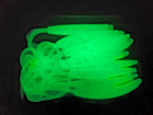 Bass Boss 7 Inch Ribbon Worms In Packs Of 10