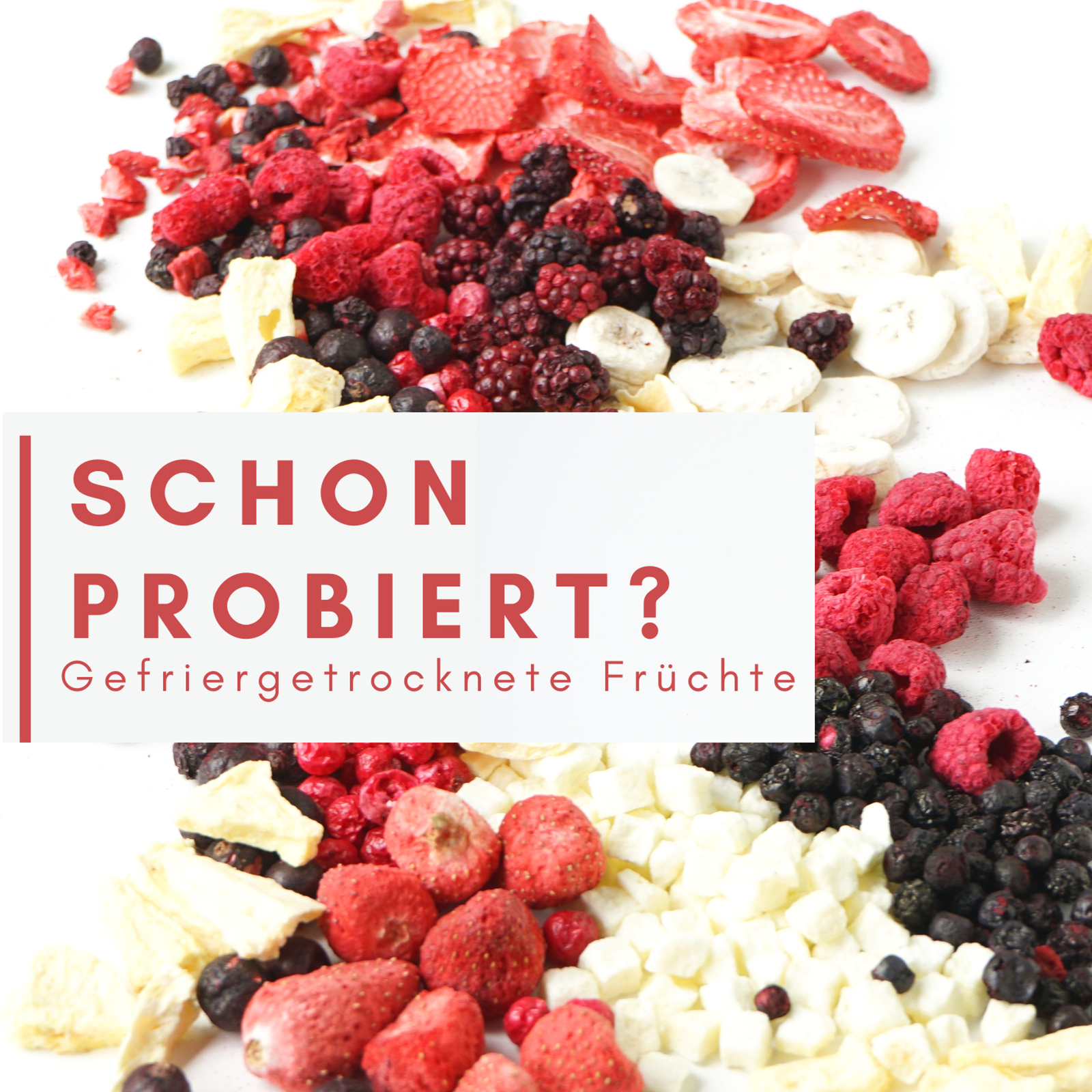 Bild 5 von 6