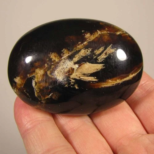 2.5" Natural FOSSIL AMBER Polished Palm Stone - Sumatra, Indonesia