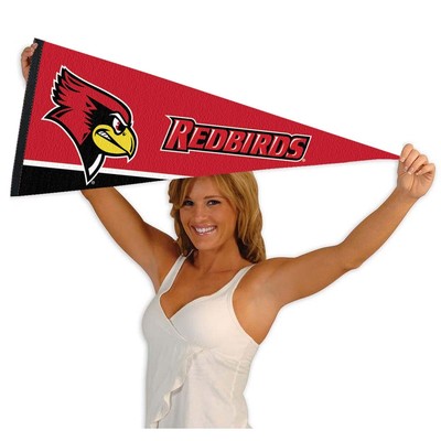 Ferris State University Pennant - Full Size 12x30 Inch Felt, Officially Licensed - View #5