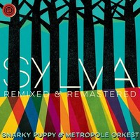 Snarky Puppy Metro - Sylva Remixed Remastered - Cd - G3Z