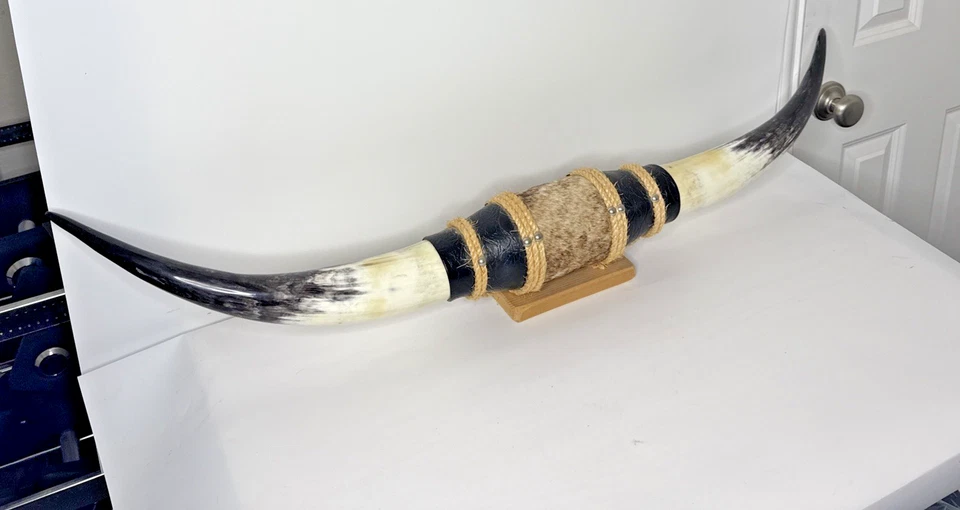 CUERNOS DE TORO DE NOVILLO MONTADOS 3' 6"" (42 pulgadas) punta a punta cuernos de toro de vaca cuernos largos Foto 2 de 2