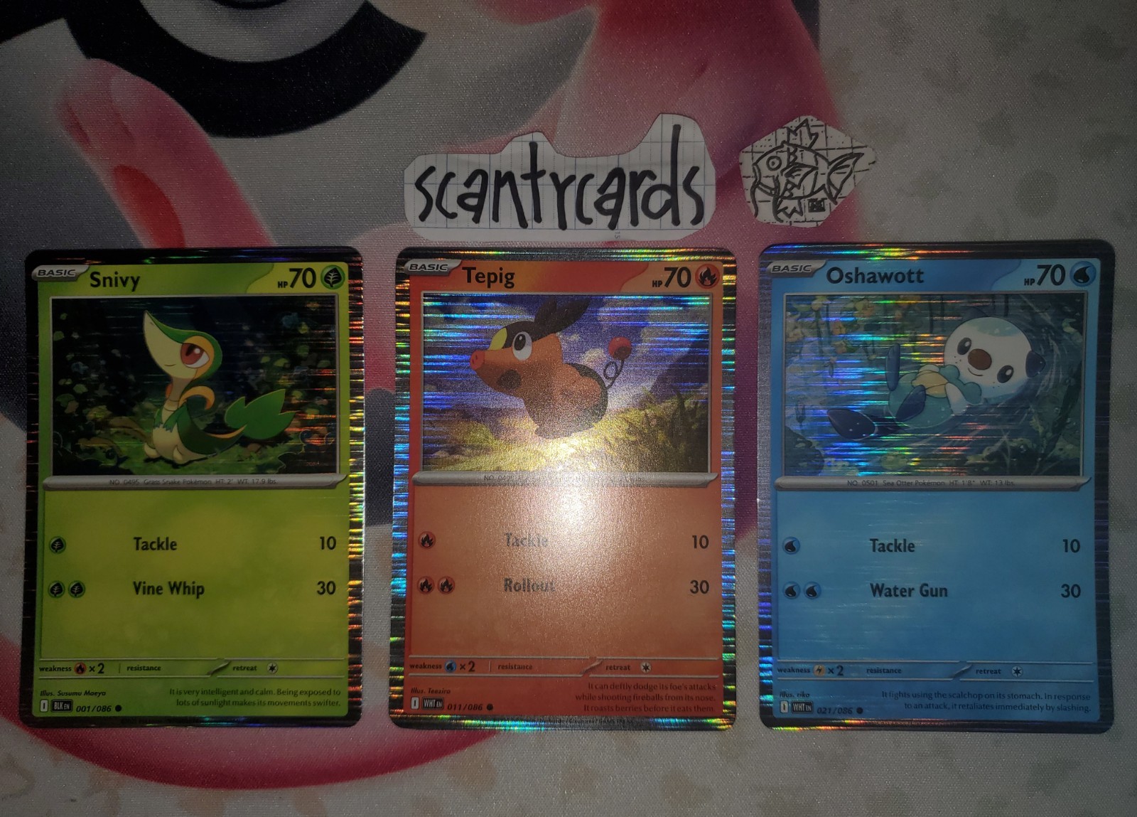 Pokemon NM HOLO Snivy Tepig Oshawott  Card Set Mini Collection 1/86 11/86 21/86