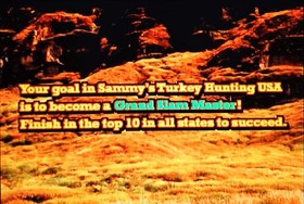 Turkey Hunting USA JAMMA Sammy 2000 Arcade PCB Works Great... Lots of FUN!