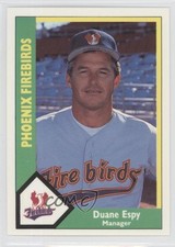 1990 CMC AAA Phoenix Firebirds Green Back Duane Espy #24 0q3