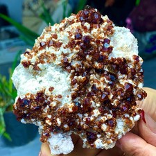 205G Natural Garnet with rock Gorgeous rough raw Crystal Mineral Specimen D32