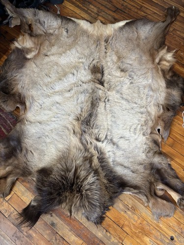 Elk hide fur rug