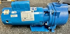 Goulds Xylem IIRI-GATOR Self Priming End Suction Pump GT30 HP 3.0 PH1