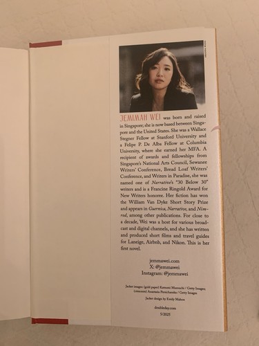 DIE ORIGINAL TOCHTER Jemimah Wei Hardcover DJ Erstausgabe (Doppeltag 2025) - Bild 5 von 6