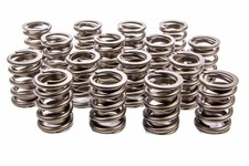 Lunati 73943-16 Valve Spring Valvetrain Component Sbc Valve Springs 1.260 Lunati 73943-16 Valve Spring Valvetrain Component Sbc Valve Springs 1.260