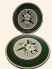 Vintage Stangl Star Flower Plate 10inch Round Hand Painted Plate  4 altogether