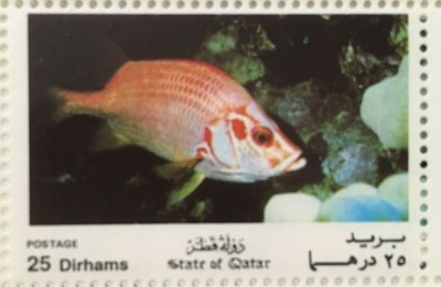 Special Lot Qatar 1991 769 Fish Species 150 Stamps Mnh