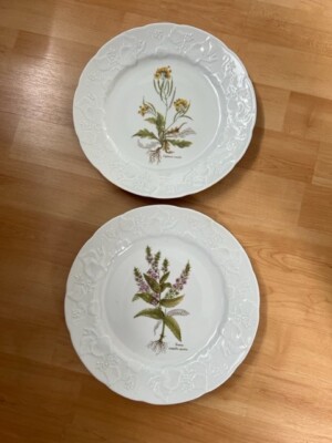 Dansk Ivy Diplotaxis and Veronica Anagallis-aquatica Plates with Embossed Rims