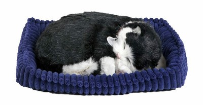 VGEBY Peluche Chat Noir et Blanc avec Son Jouet pour Enfants VGEBY Peluche Chat Noir et Blanc avec Son Jouet pour Enfants