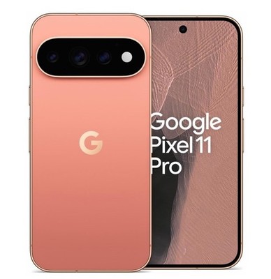 Google Pixel 11 Pro 256 GB Canyon/Neu&OVP
