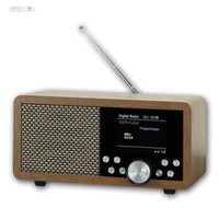 Digitales Tragbares Dab+ Radio Mit Bluetooth/Usb/Sd, Dab/Fm Akku Und Netzbetrieb