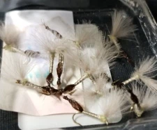 Burkus Riffle Robber Pale Olive Fly Hooks by Fulling Mill 12 Pack S18