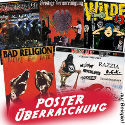 POSTER ÜBERRASCHUNGS PACK 10 x Punkrock/Hardcore Bandposter