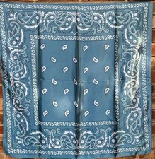 Wild Rag Scarf Cowboy Scarves Buckaroo Bandana Cowgirl Blue Paisley 