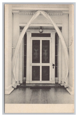 Whale Jaw Bone Entrance Historical Whaling Museum Sag Harbor NY Postcard c1956
