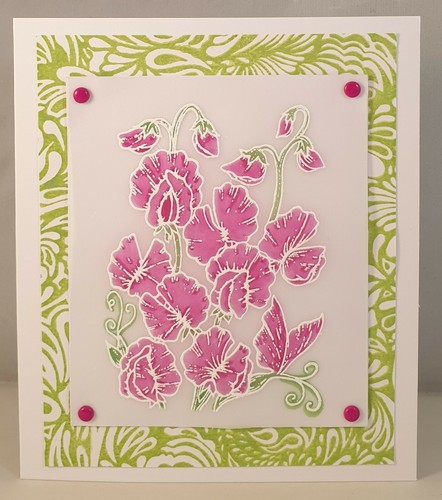Paisley Hintergrund klammermontierter Gummistempel von JudiKins - Bild 4 von 4
