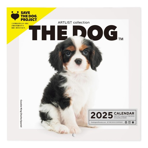 THE DOG Calendar 2025 Wall Hanging Mini Size [Cavalier King Charles