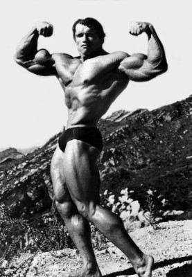 ARNOLD SCHWARZENEGGER PHYSIKKULTUR, SELTEN GLÄNZEND 15x10 FOTODRUCK SAMMLER