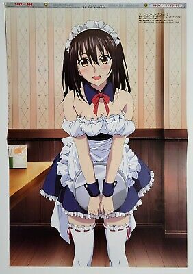 Strike the Blood / Armed Girl's Machiavellism Dual Sided Poster