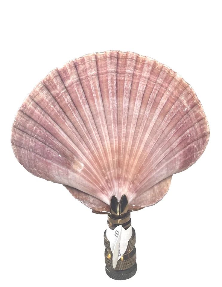 Acabado de pantalla de lámpara costera rosa náutica concha marina Foto 2 de 4