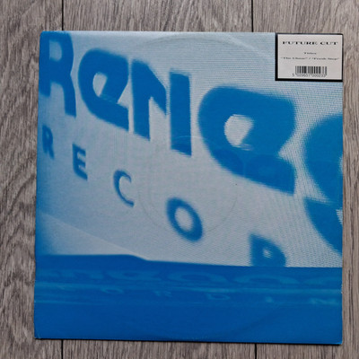 Future Cut   The Chase / Fresh Step : Renegade Recordings 12'' DRUM & BASS vinyl