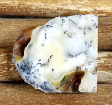 70.75 Ct Natural Dendrite Opal 35 x 33 mm Gemstone Slab Rough