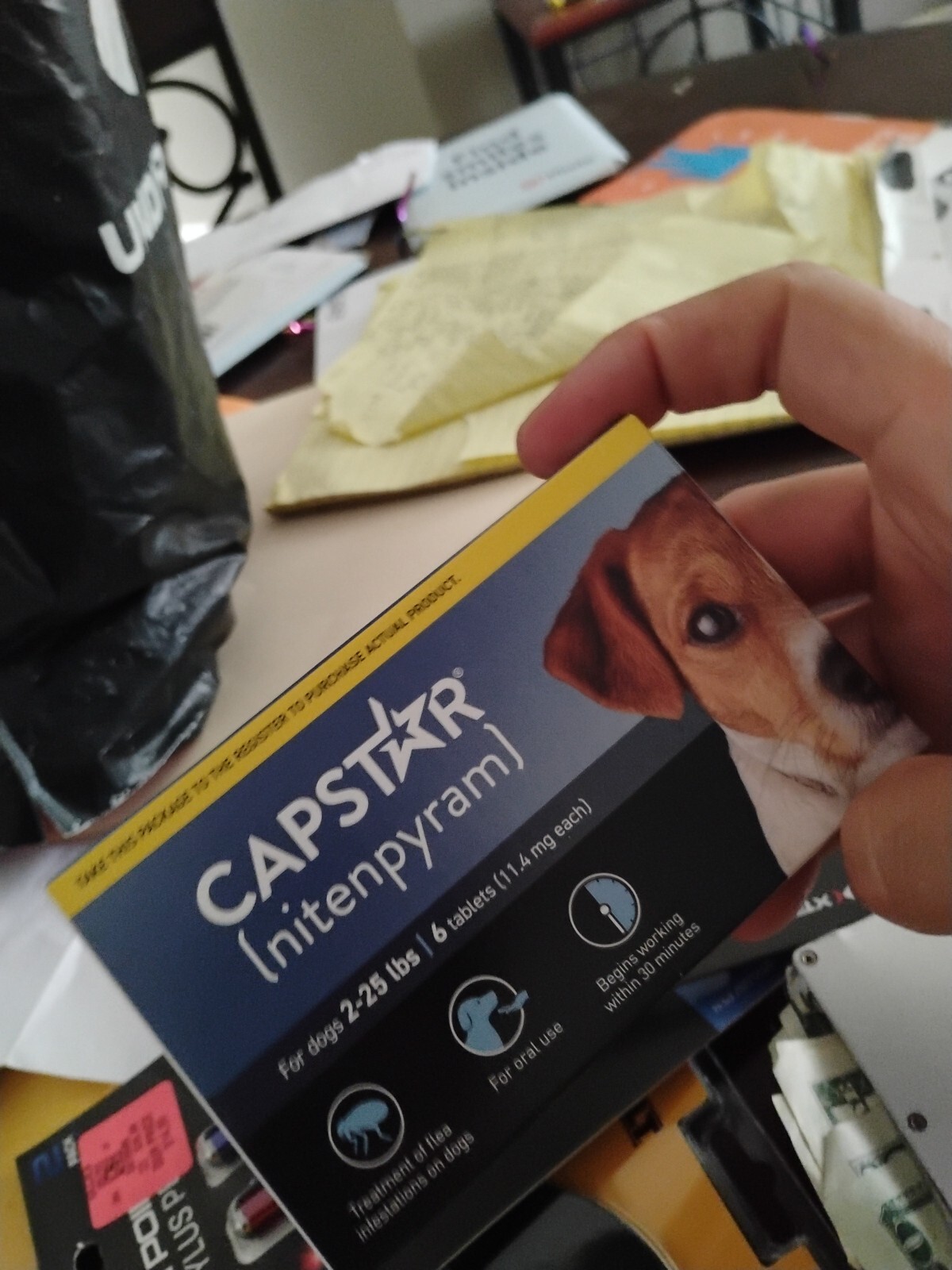 CAPSTAR (NITENPYRAM) 11.4 MG FOR DOGS 225LBS 6 PACK BOX NEW AUTHENTIC USA 2025 eBay