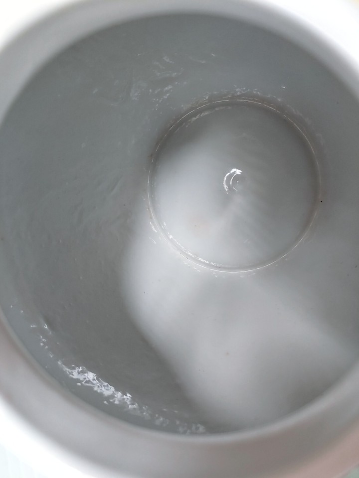 Chinese Japanese Medallion Porcelain Flower Vintage Old Jar Vase Large