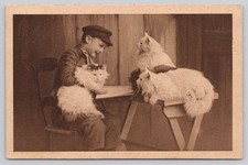 Postcard Cat Belgium Boy with Four Long Haired Cats c1922 26J