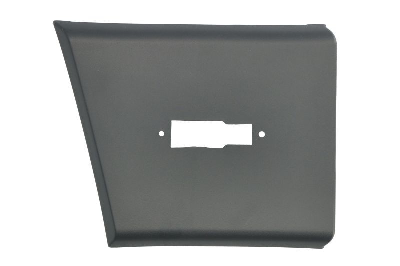 Fits BLIC 5703-04-2098478P Garnish strips for door/side Right do CITR ⭐UK Stock⭐
