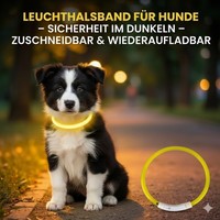 Leuchthalsband Hund Aufladbar | Led | USB-C | Zuschneidbar | Wasserdicht