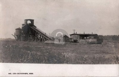 Scribner Nebraska Railroad Coal Dump RR Roundhouse 1908 RPPC Photo Postcard COPY